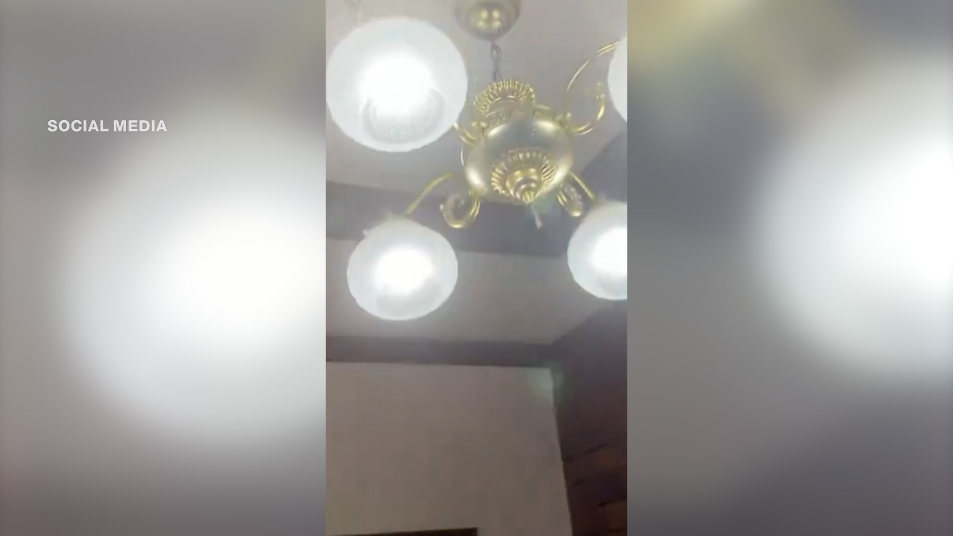 شاهد.. مراسلة CNN تنقل ما حدث بطوكيو عندما ضرب زلزال قرب اليابان