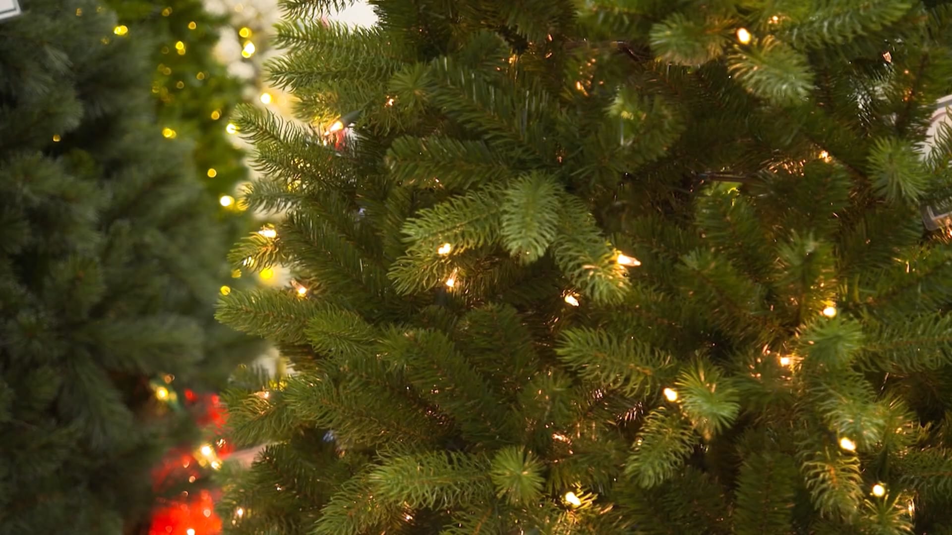 موسم الأعياد وحساسية الأنف والعينين: الأسباب وراء تفاقم الأعراض