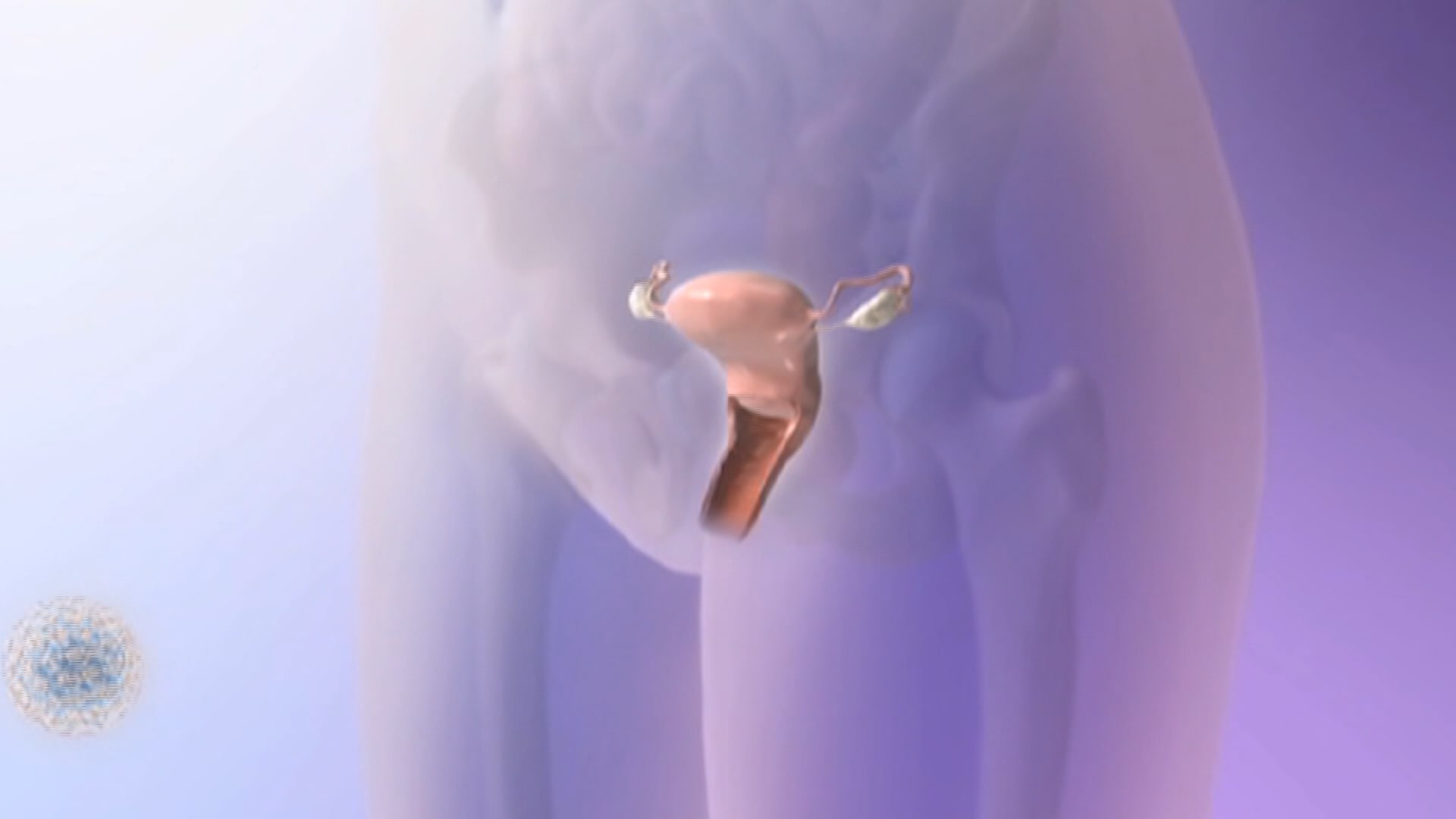 فيروس الورم الحليمي البشري.. السبب الأكثر شيوعًا لسرطان عنق الرحم وأشهر المفاهيم الخاطئة حوله