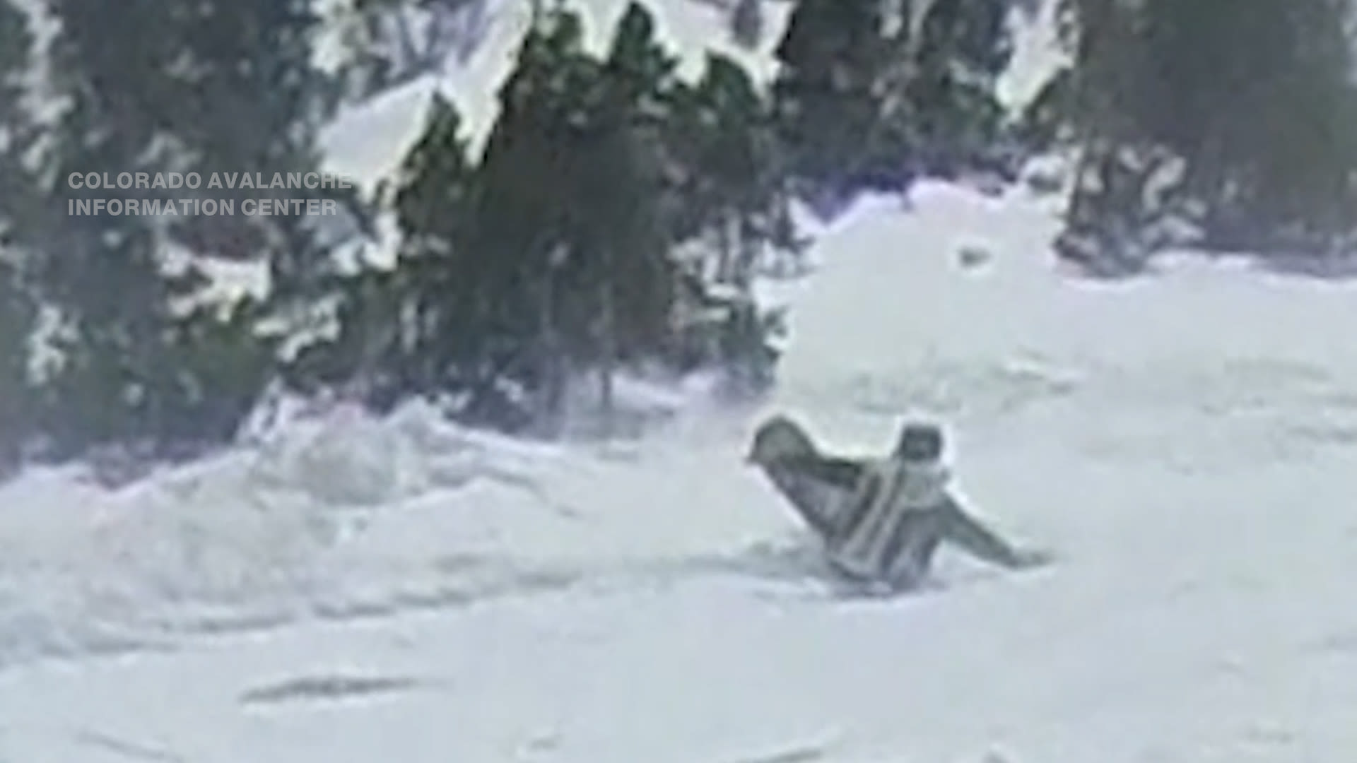 تشبث بشجرة للنجاة بحياته.. انهيار ثلجي يدفن متزلجا لفترة قصيرة