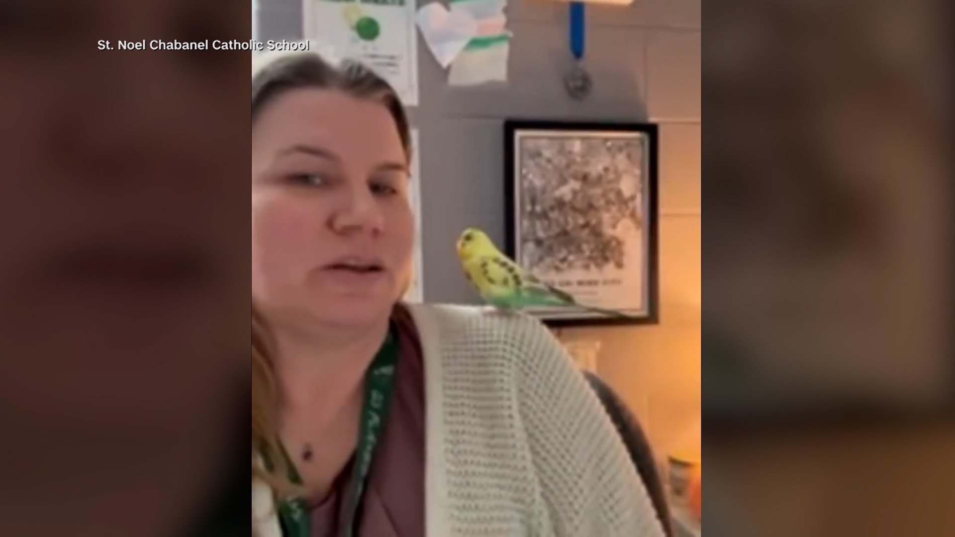 ببغاء هارب يقتحم مدرسة في كندا ويستقر على كتف معلّمة