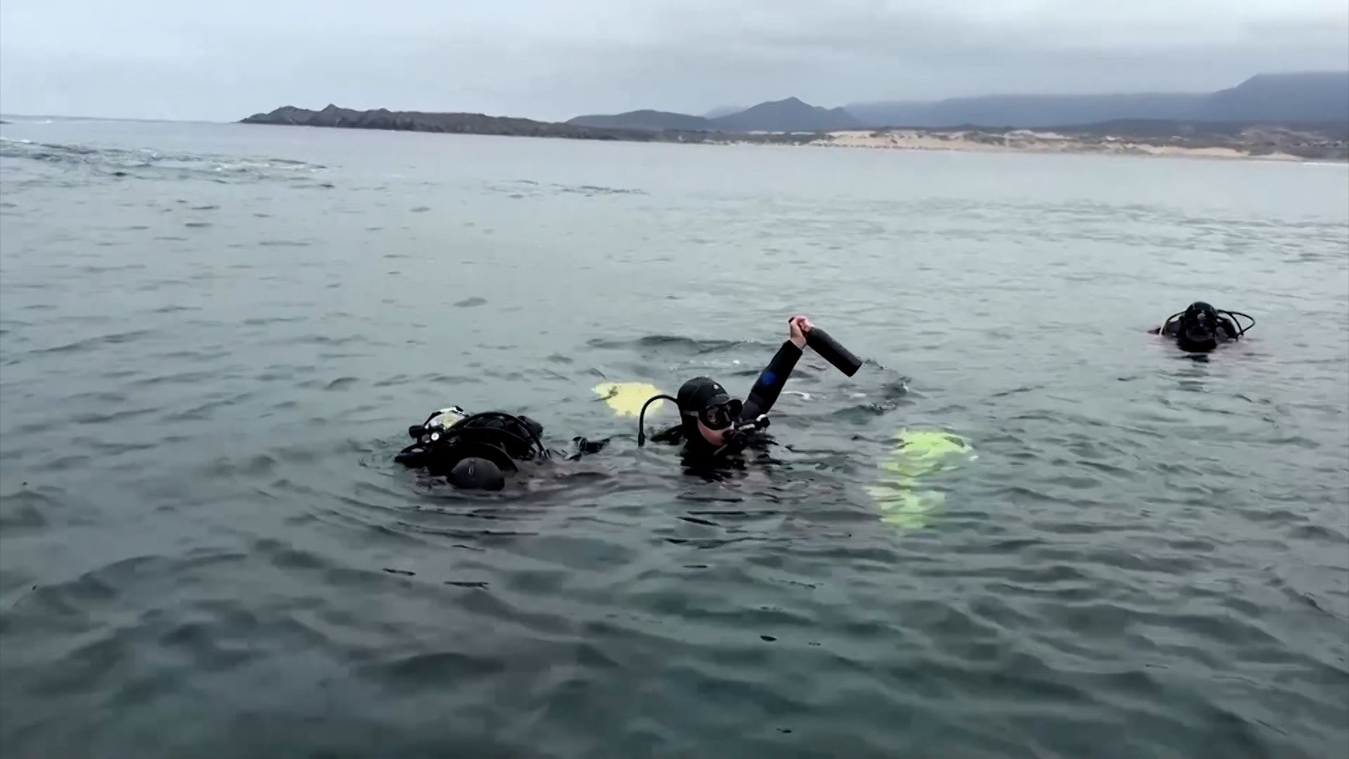 غواصون يستخرجون قناني نبيذ فاخرة من قاع البحر.. ما السبب؟