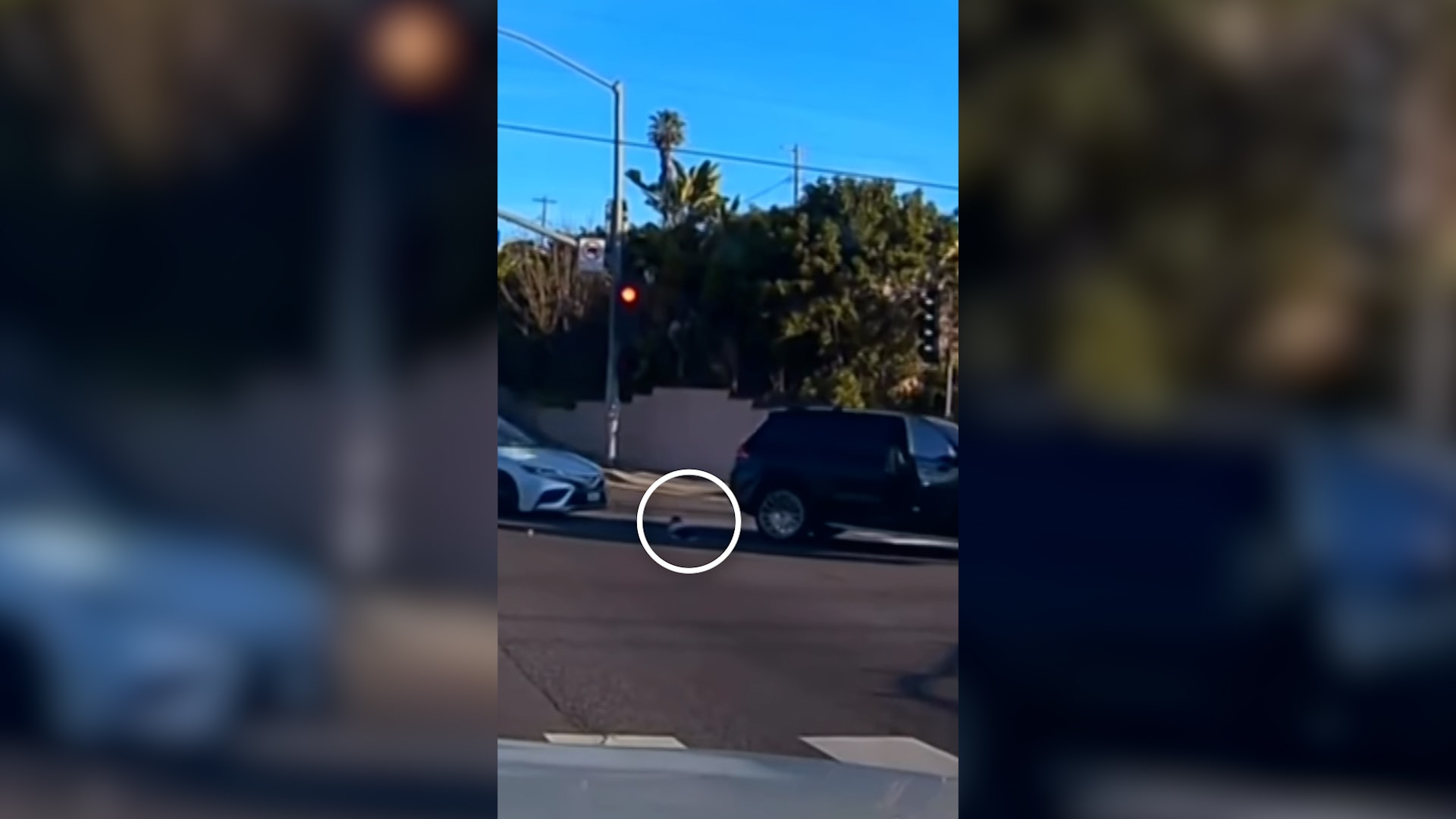 لحظة مروعة تُظهر سقوط طفل رضيع من سيارة مسرعة في كاليفورنيا