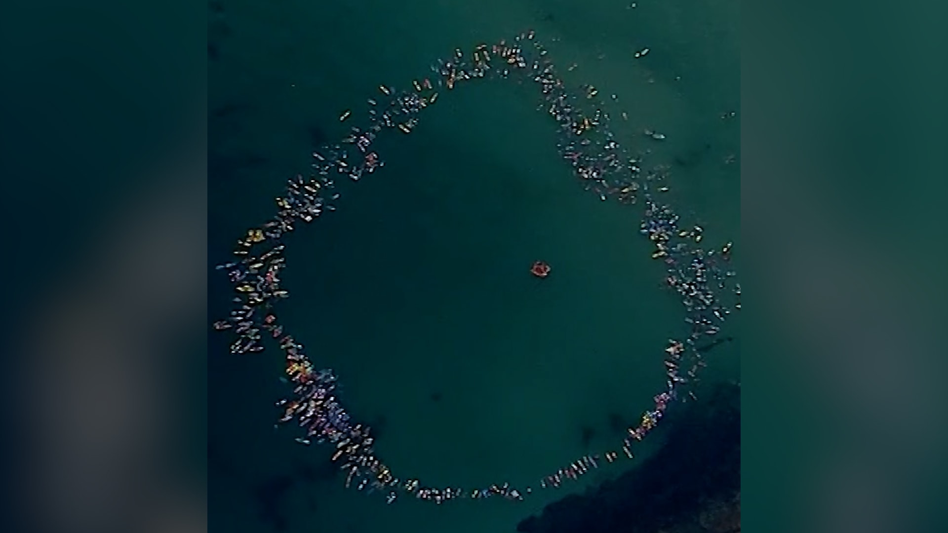 أستراليا.. مئات المجدفين يكرمون طفلًا وقع ضحية هجوم سمكة "قرش الثور"