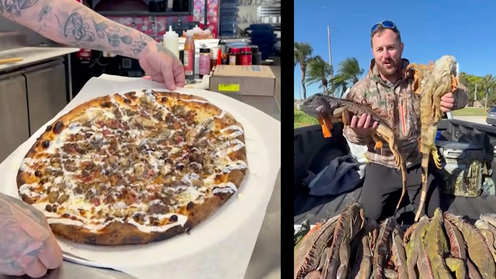 بيتزا سحلية الإغوانا تحقق رواجًا كبيرًا وتجذب الملايين إلى مطعم أمريكي