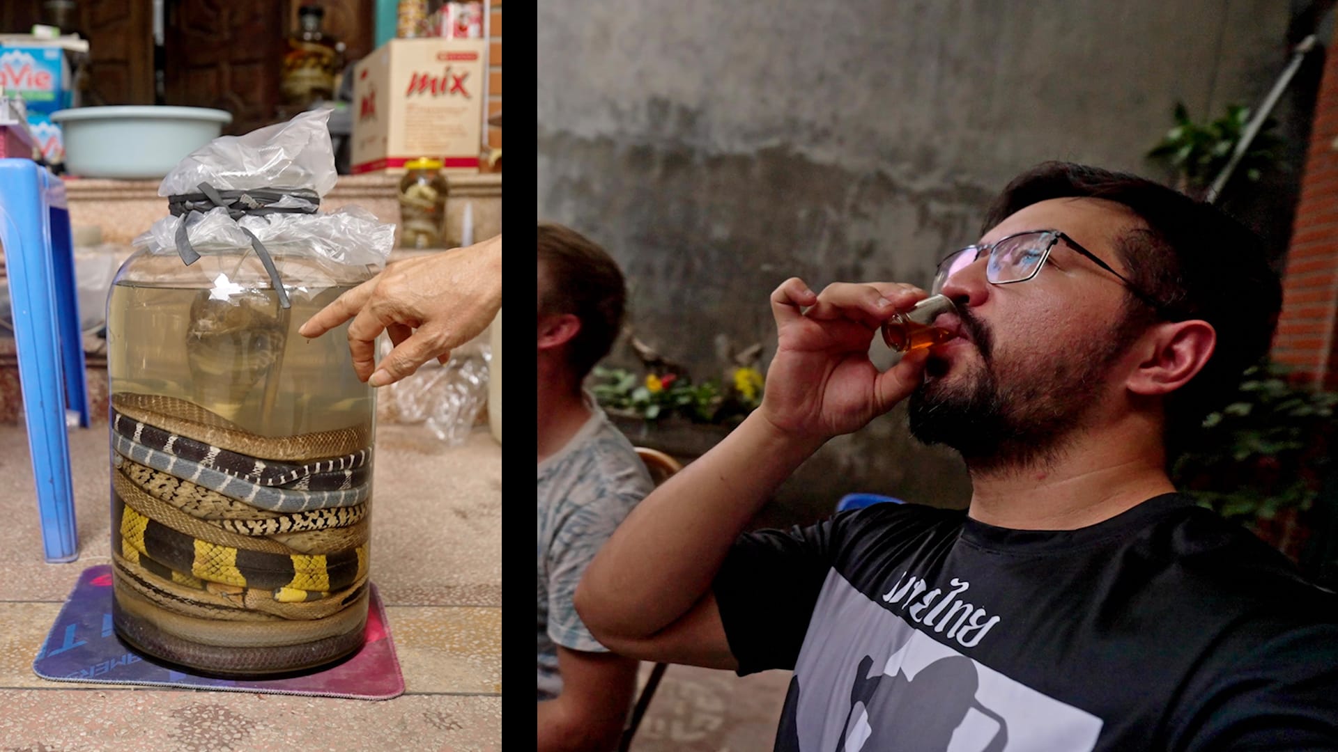 نبيذ الثعابين في فيتنام..تجربة مشروب تنام فيه الأفعى بسبات عميق 