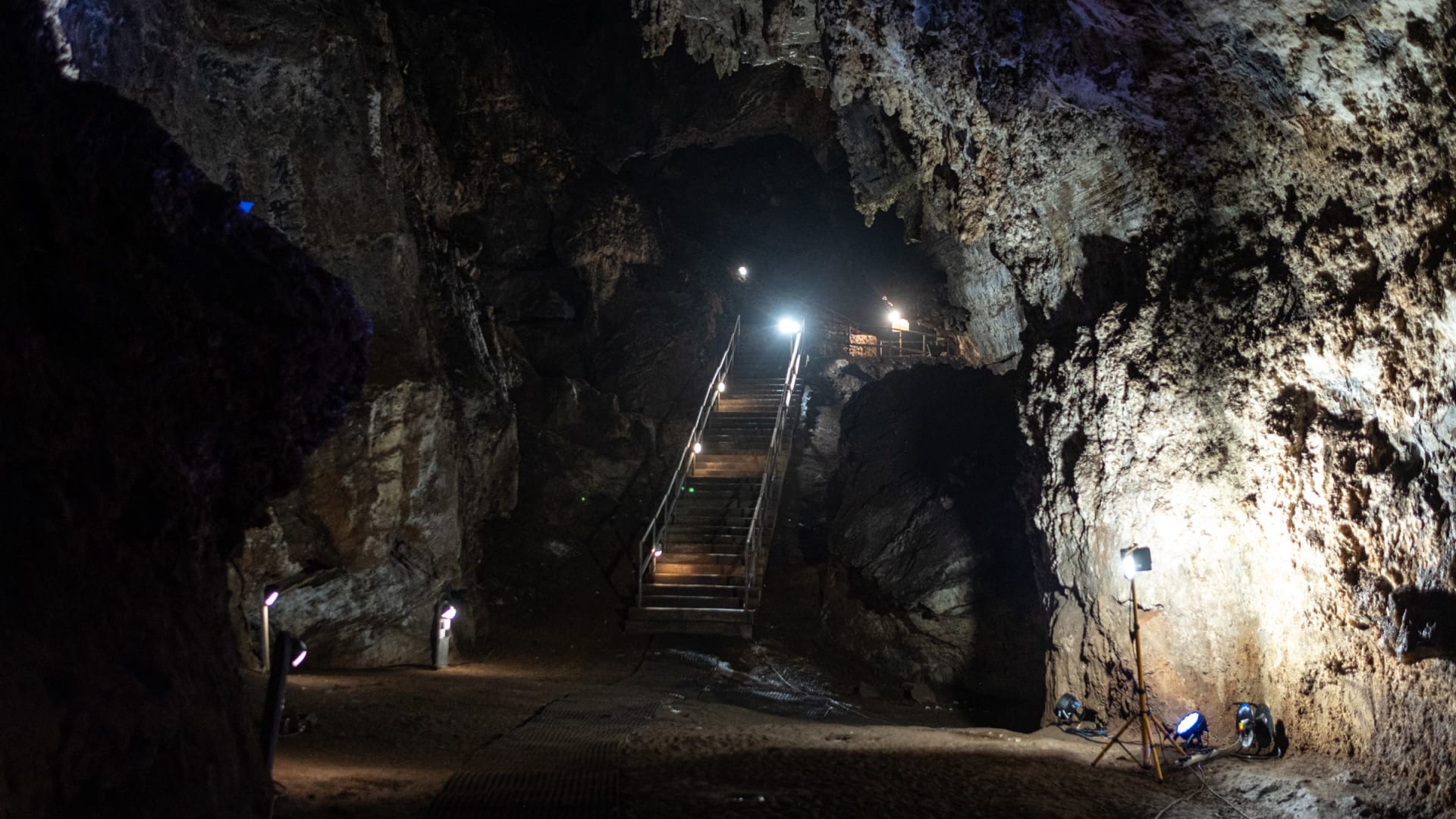 الكشف عن وجه سلف بشري عاش قبل 4 ملايين عام.. هكذا بدت حفرية "ليتل فوت"