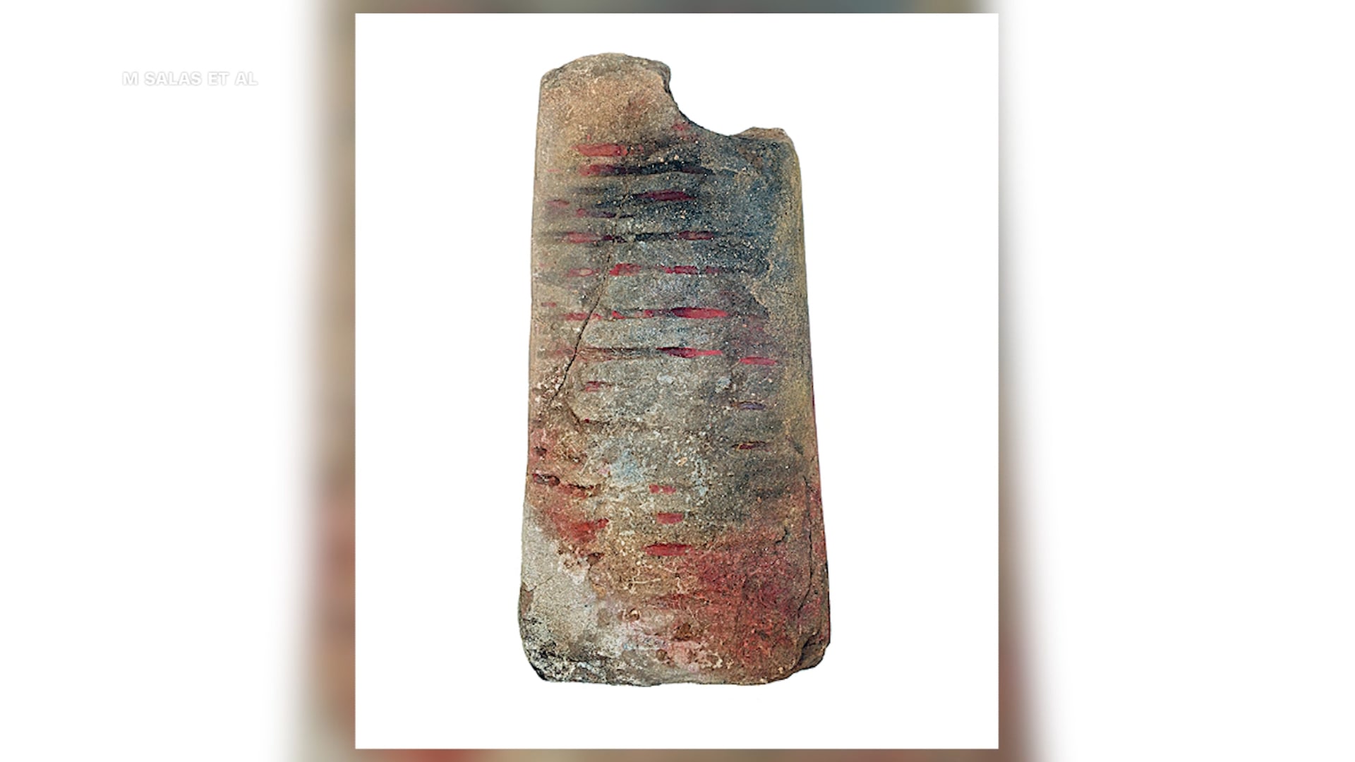 العلماء اعتقدوا أنّه حجر عادي في فناء بأوروبا الشرقية.. فما الذي اكتشفوه؟