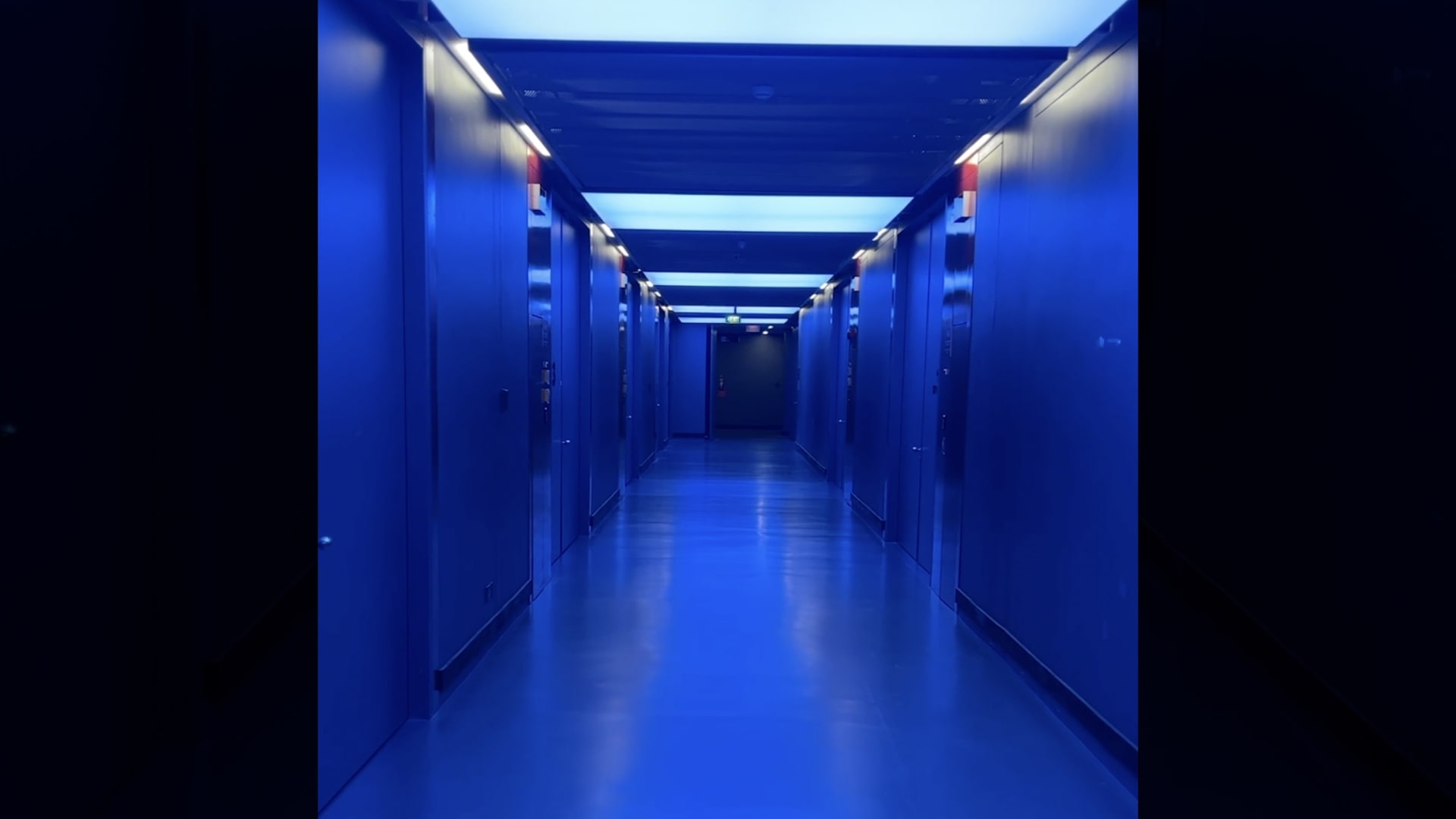 سبائك ذهب وأعمال فنية وهيكل ديناصور.. داخل الخزنة فائقة السرّية لفاحشي الثراء في آسيا