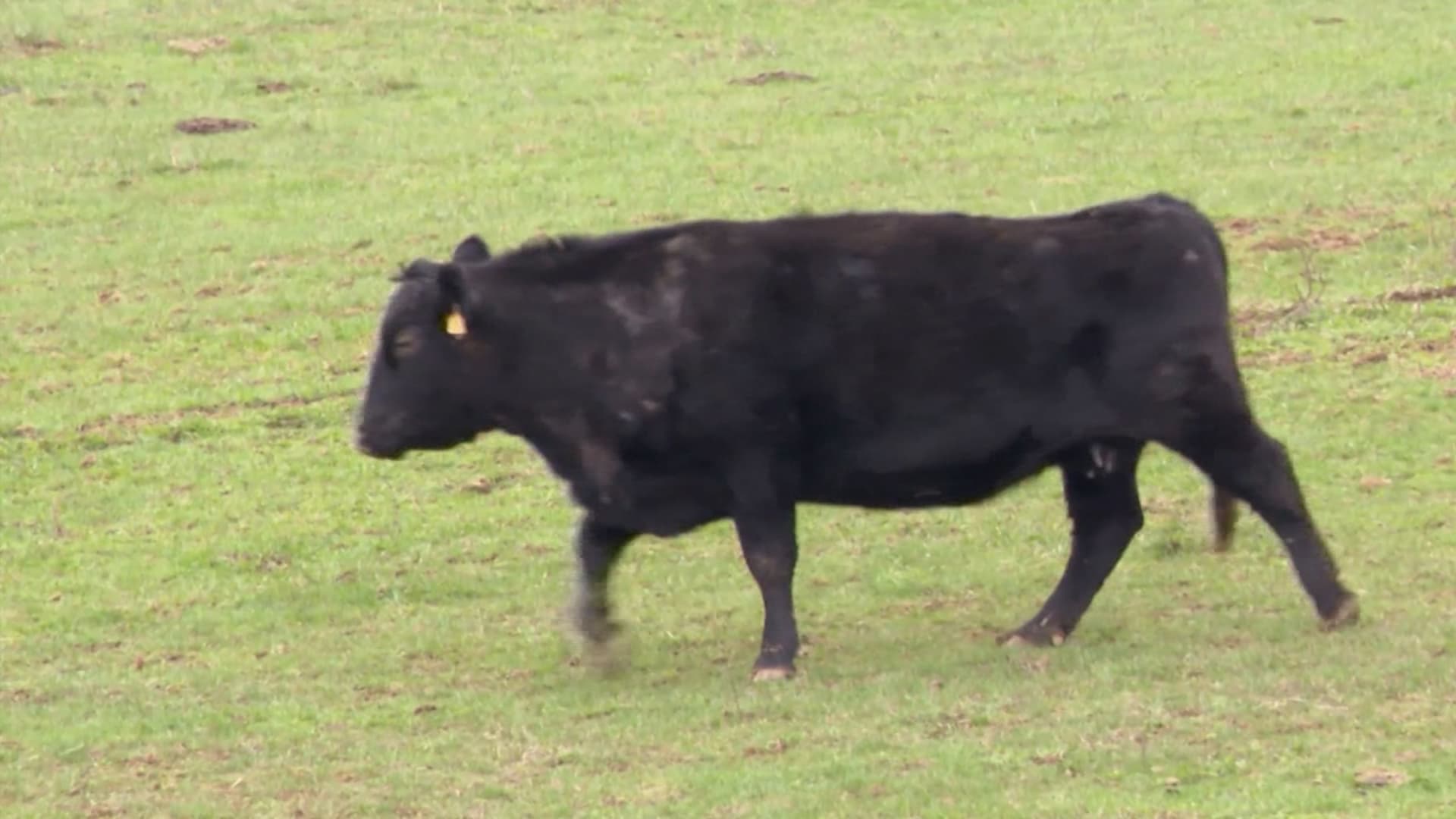 عائلة مزارعين ترفض عرضاً بقيمة 26 مليون دولار من شركة ذكاء اصطناعي مقابل أرضها