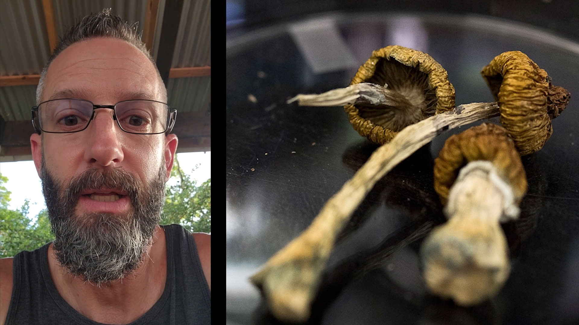 داخل منتجعات الهلوسة.. كيف كانت تجربة العلاج بالفطر السحري؟