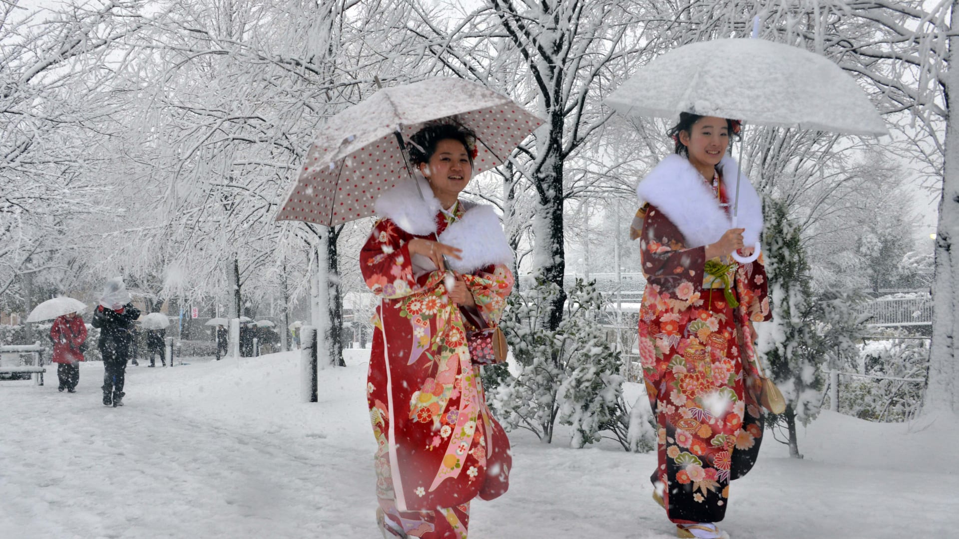 أعلى نسبة هطول للثلوج: اليابان 