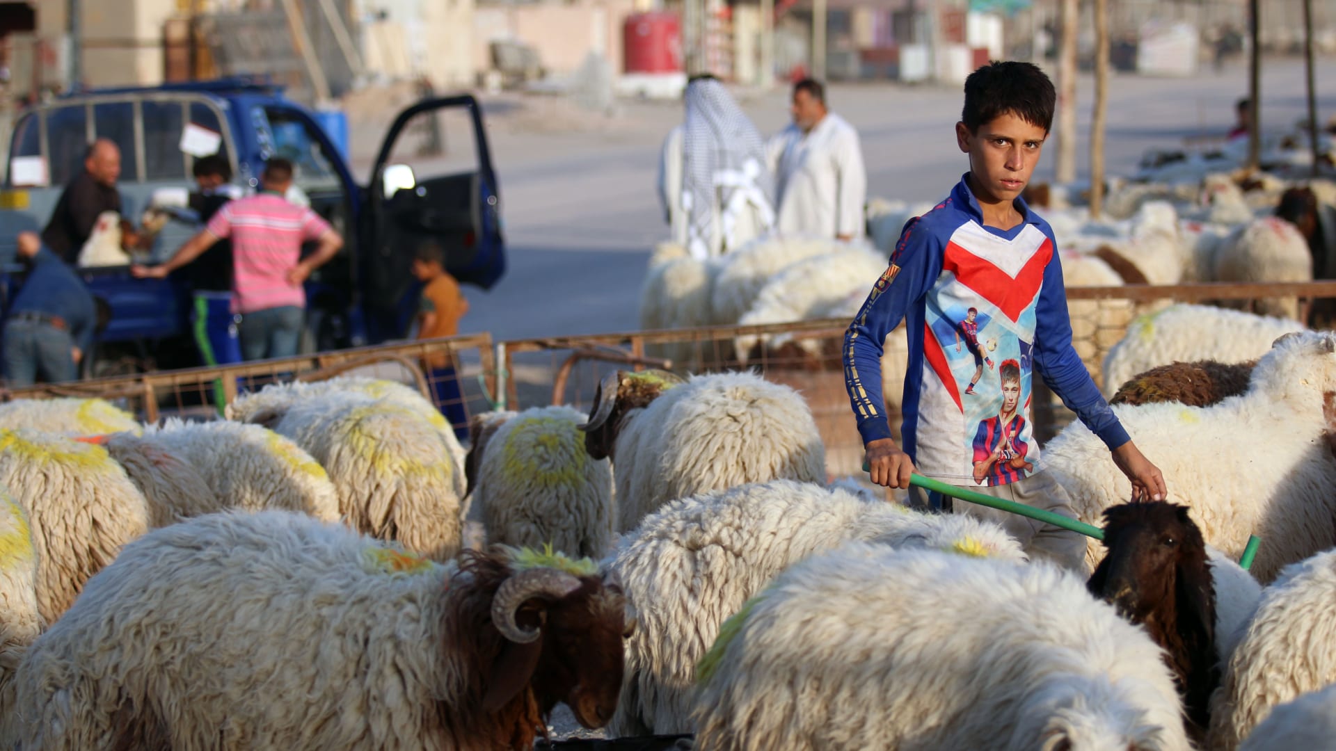صبي عراقي يقف وسط مجموعة من الخراف في سوق للمواشي بمدينة البصرة العراقية