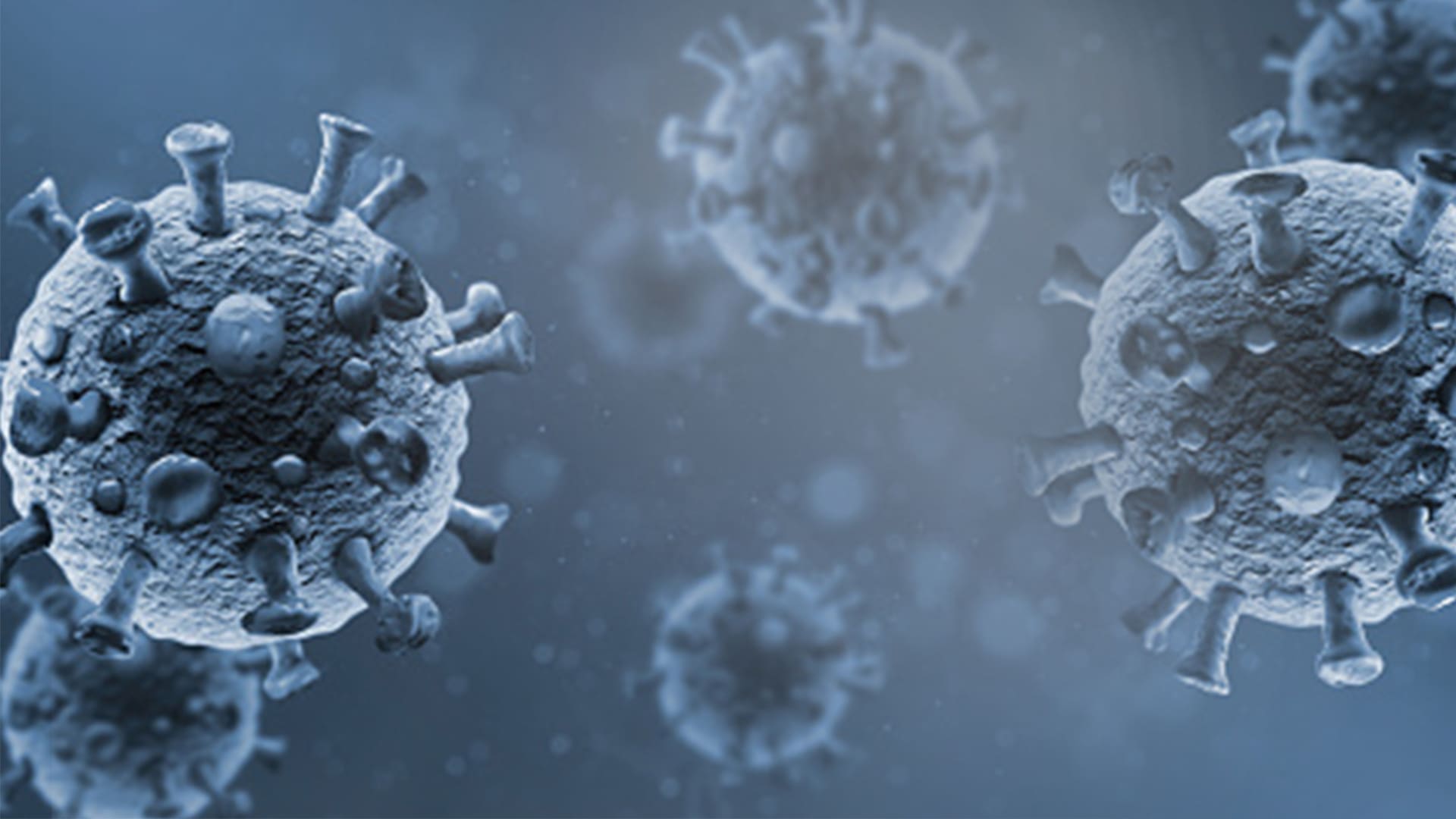 هل تعلم بوجود فيروسات أكثر فتكاً من فيروس كورونا؟ تعرف إليها بهذا الإنفوجرافيك