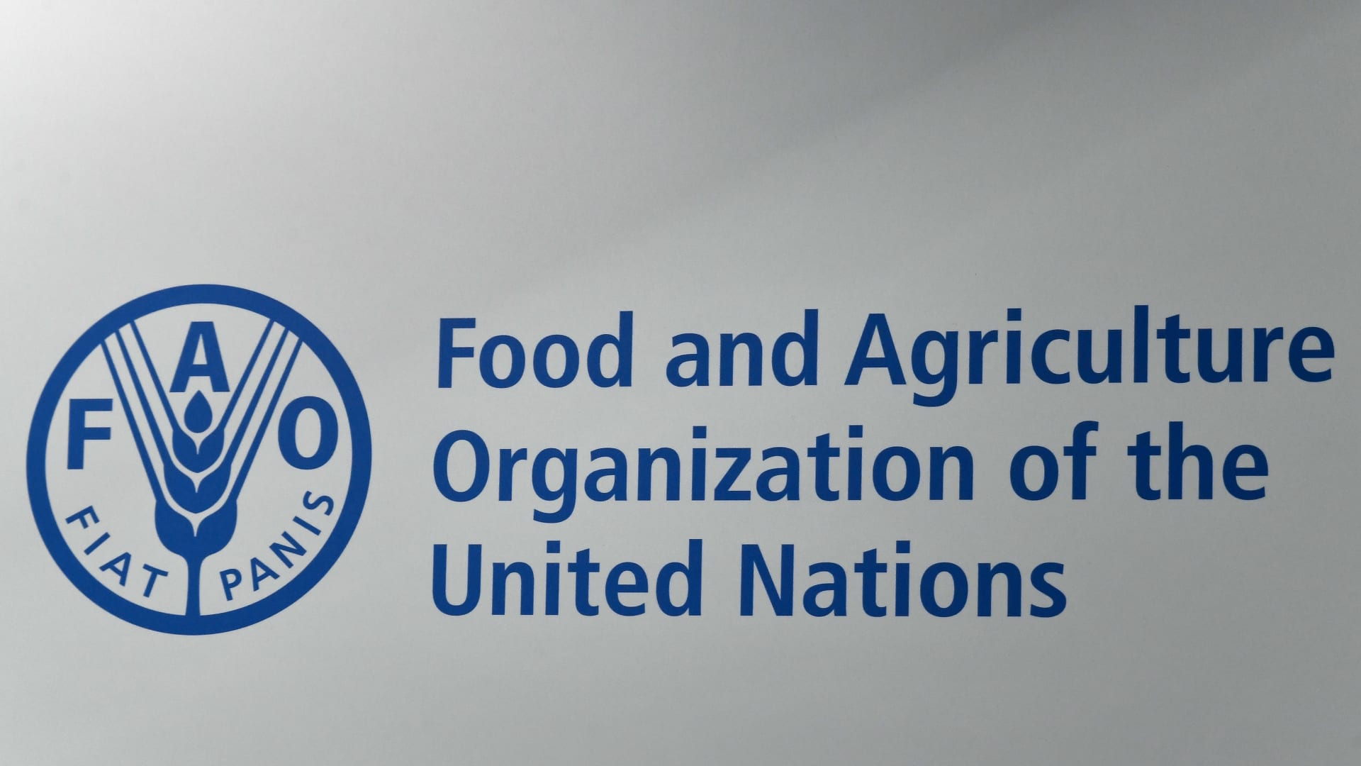 شعار منظمة الأغذية والزراعة 