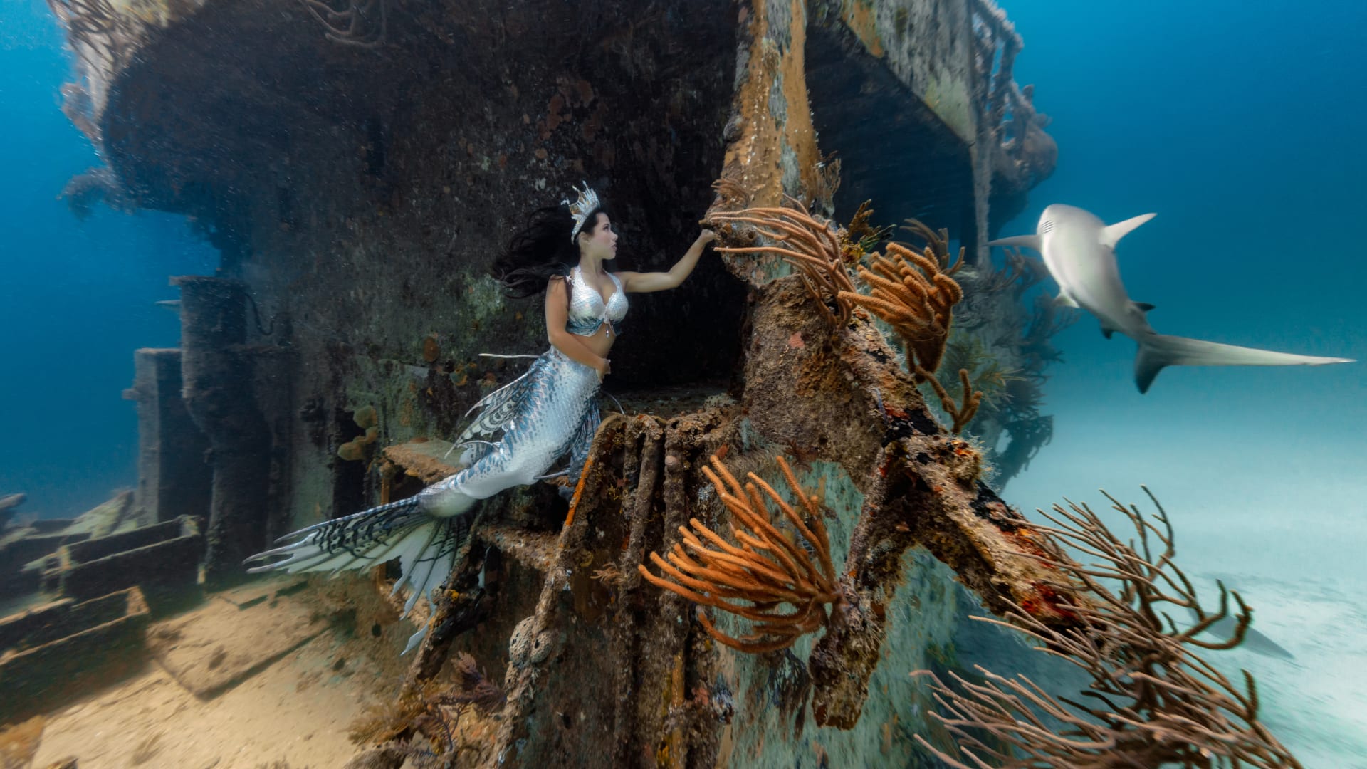لقطات جريئة تجمع بين برازيلية وسمكة قرش تحت الماء بجزر البهاما
