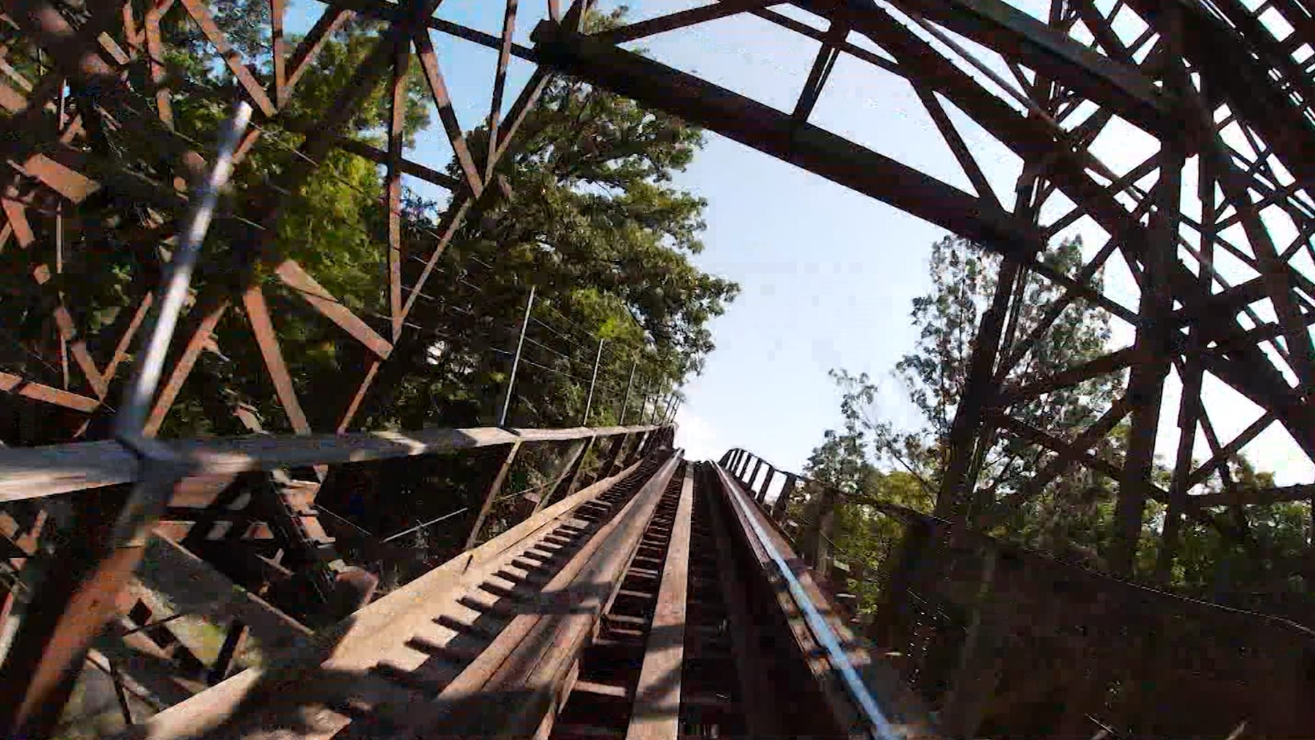 شاهد.. أطول أفعوانية في العالم تحطّم رقمها القياسي في موسوعة غينيس