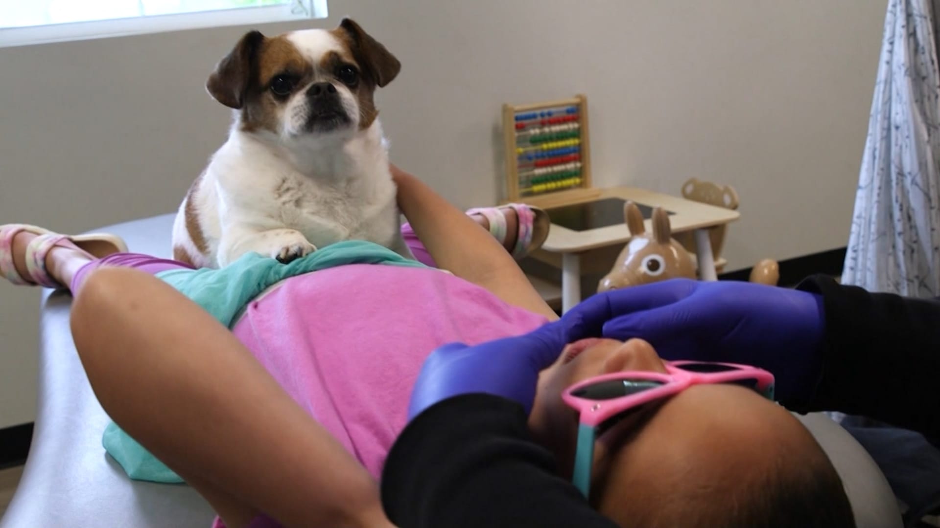 فيديو لطيف.. كلب علاجي يهدئ الأطفال ويصرف انتباههم عن أدوات طبيب الأسنان