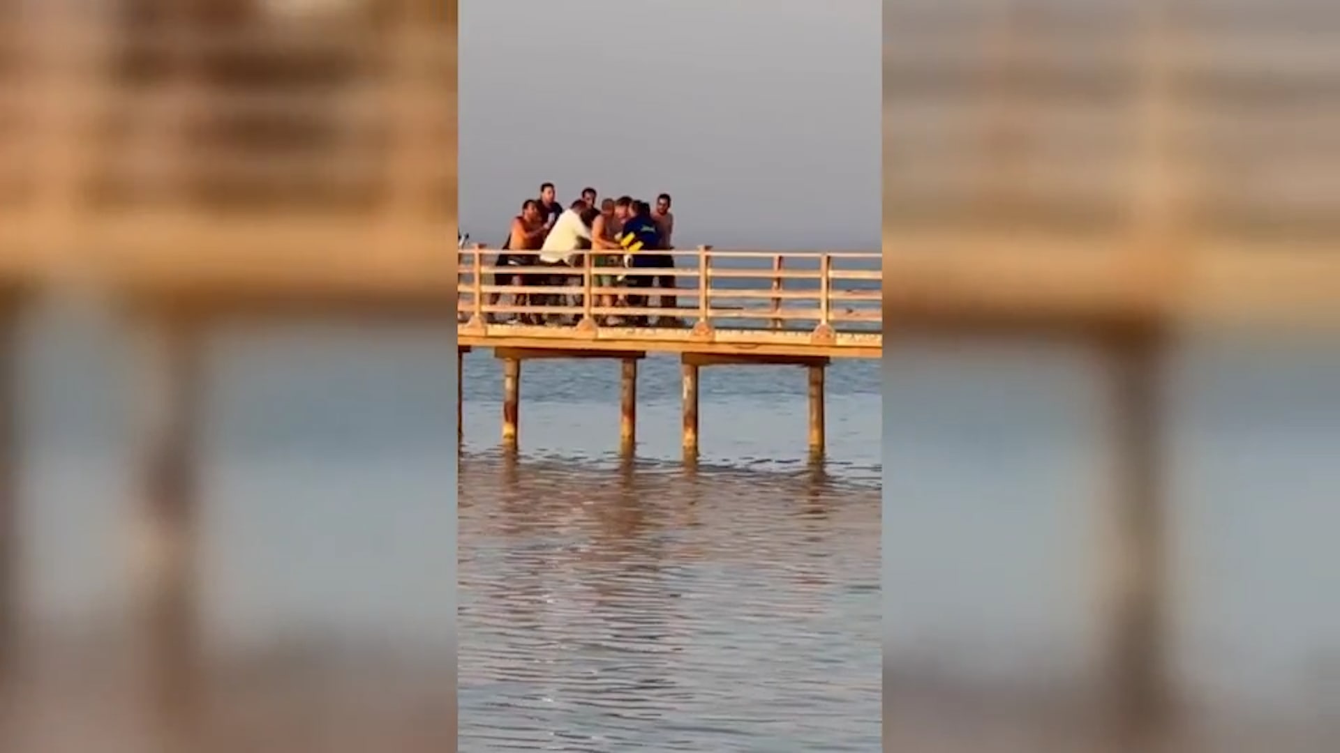شاهد.. مجموعة من الناس تندفع لمساعدة امرأة تعرضت لهجوم سمكة قرش في مصر