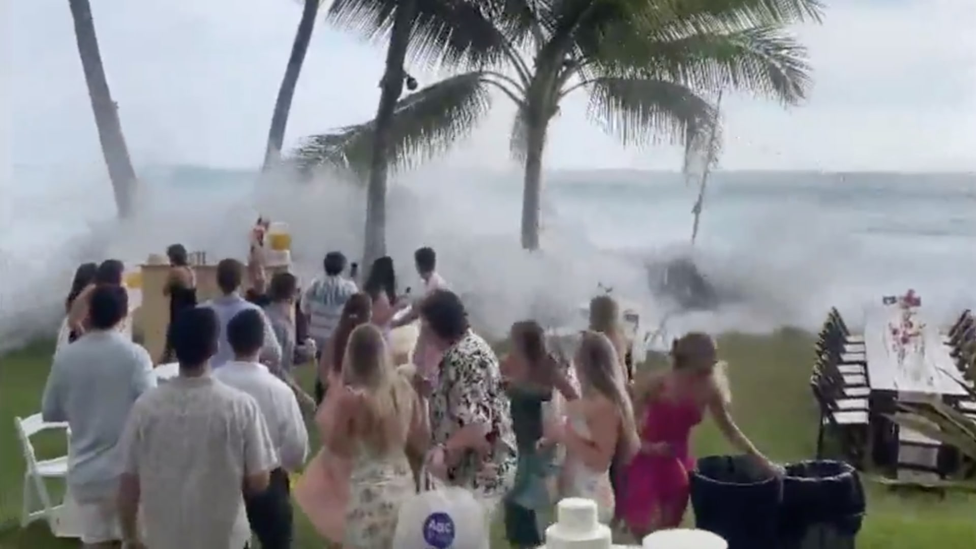 شاهد موجة ضخمة تباغت حفل زفاف وتفسده في هاواي