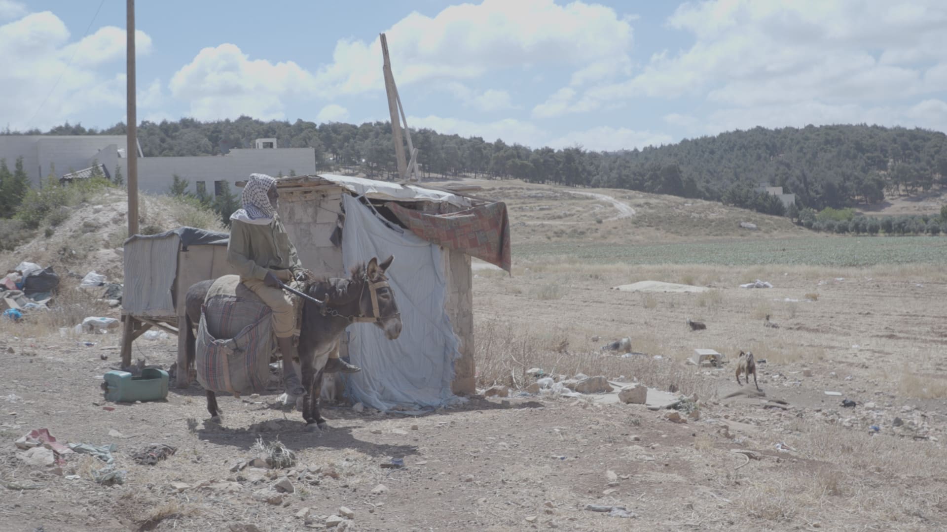 فيلم "أرض الخرسانة" ..ثلاثة أجيال من البدو بين الترحال و"تيك توك"