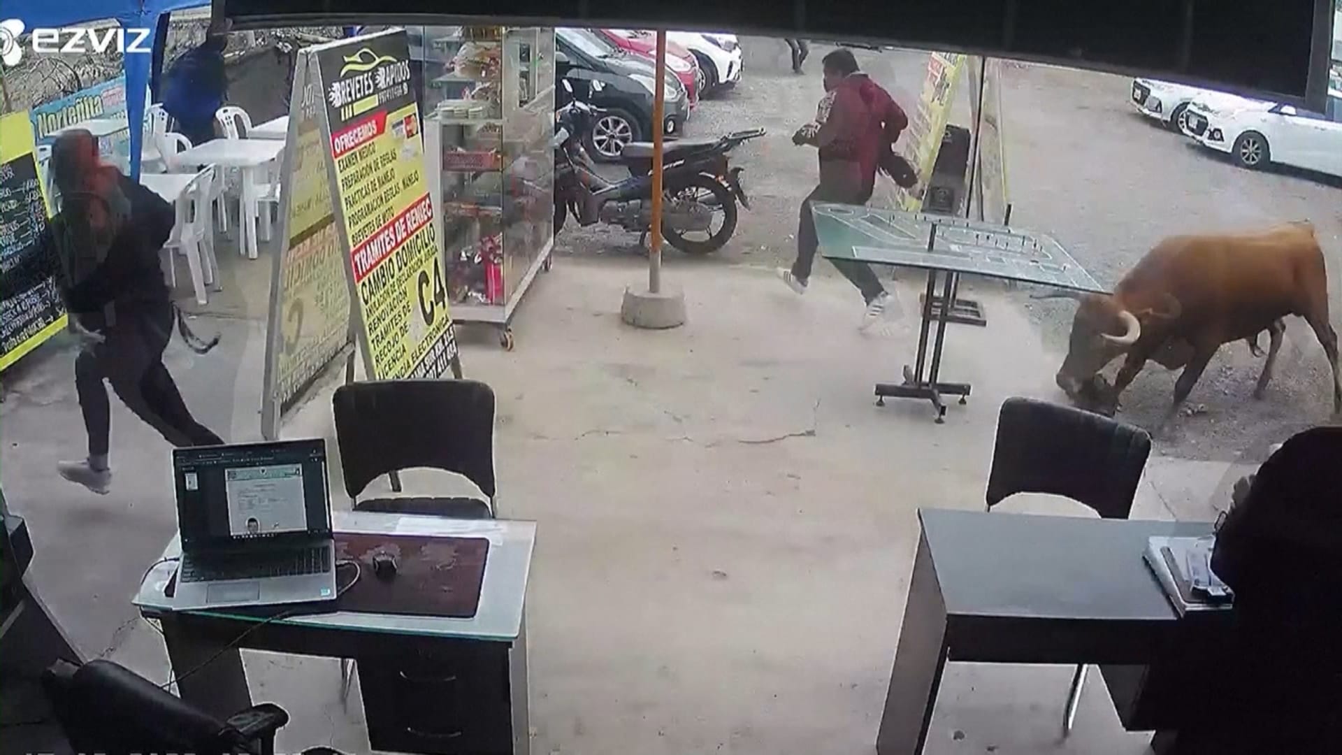 كاميرا مراقبة ترصد ثورًا طليقًا في حالة هياج يهاجم متجرًا.. شاهد ما حدث