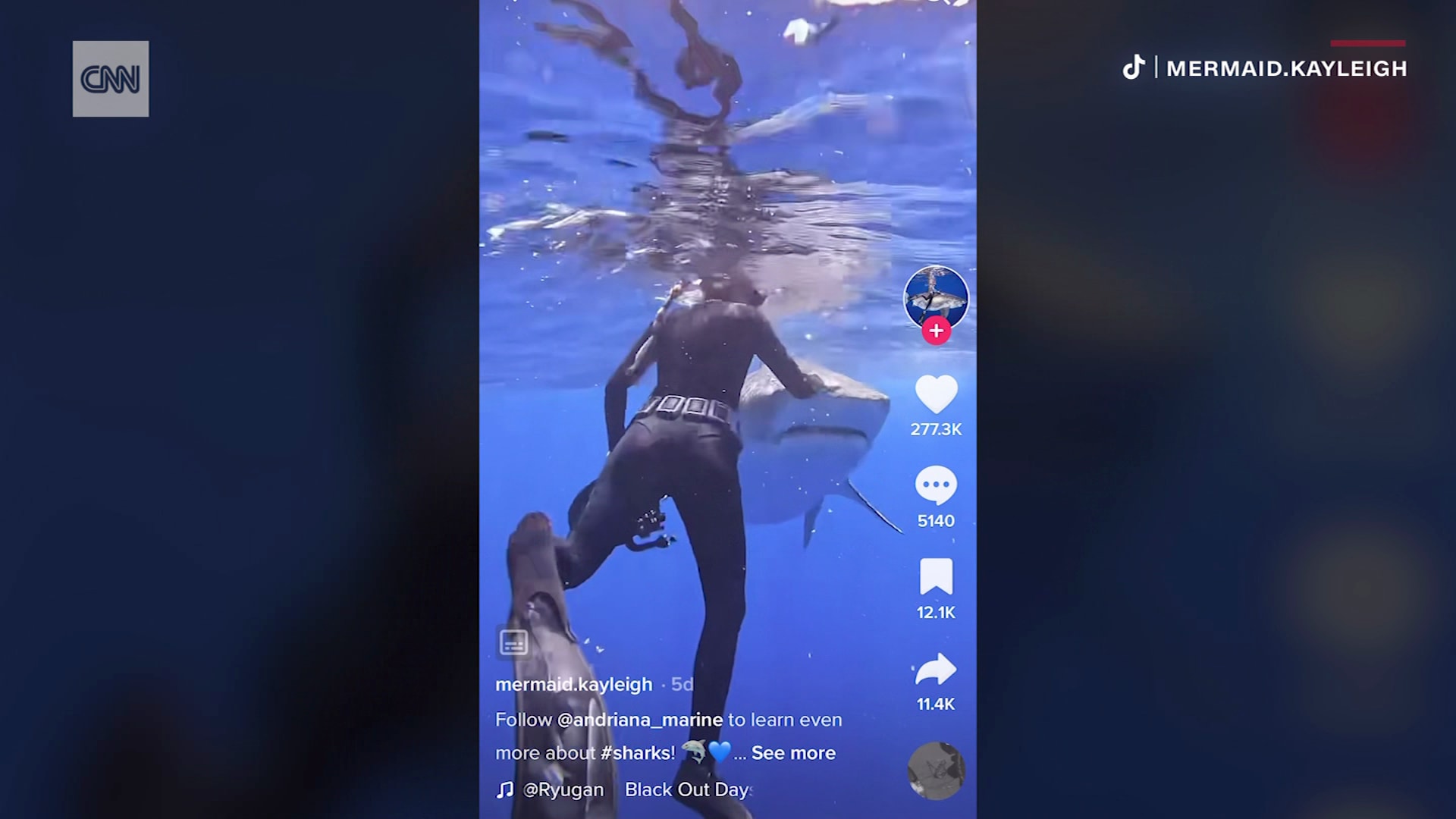 شاهد.. فيديو مذهل عن كيفية تجنب التعرض لهجوم من أسماك القرش يحصد ملايين المشاهدات على تيك توك