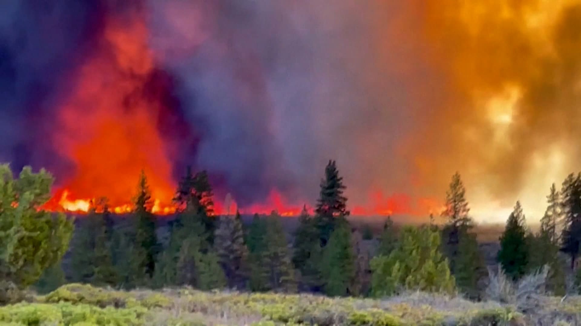 التهم كل شيء.. فيديو مرعب لحريق هائل يجتاح غابات كاليفورنيا