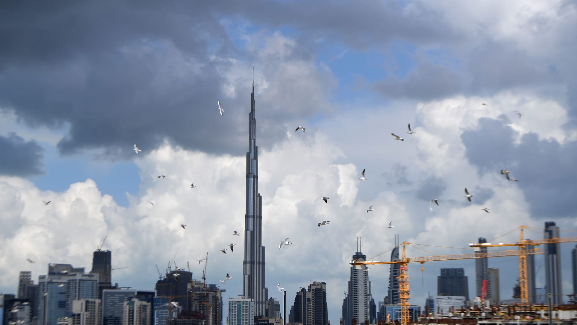 تطمح هذه الشركة في دبي بناء "مدن إسفنجية" لمواجهة تغير المناخ