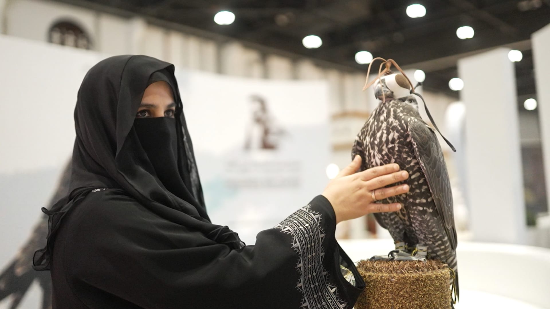 كيف تحافظ أبوظبي على تراثها الثقافي؟
