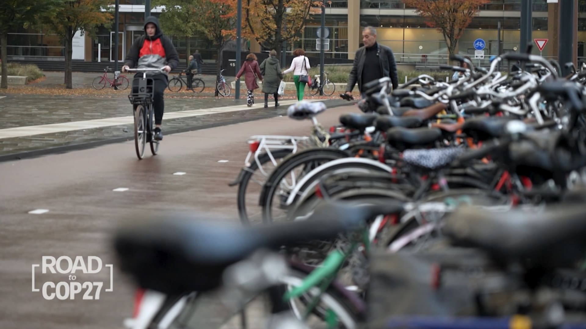 في هذه المدينة الهولندية.. أكثر من 90٪ من السكان يستخدمون الدراجات