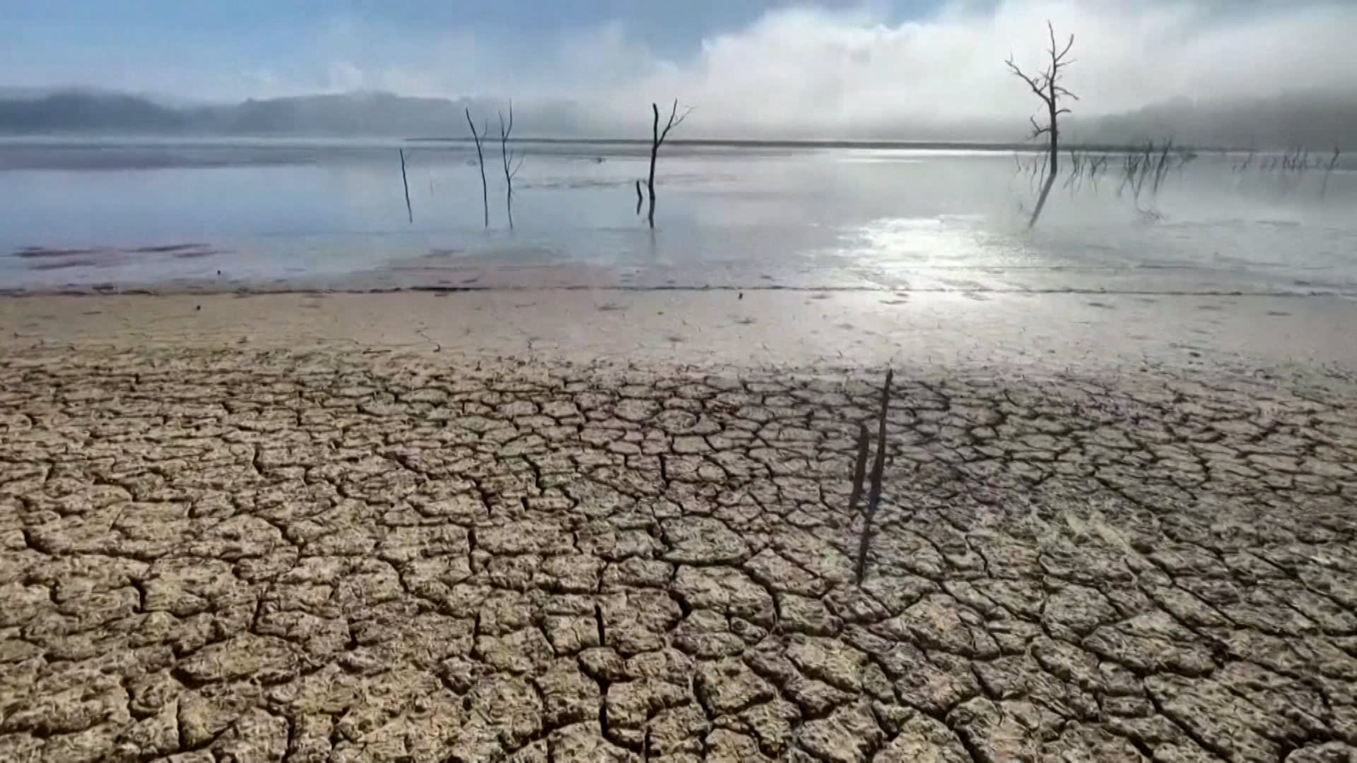 أرض متصدعة وأشجار ميتة.. شاهد مدى تأثير الجفاف على الأراضي التونسية