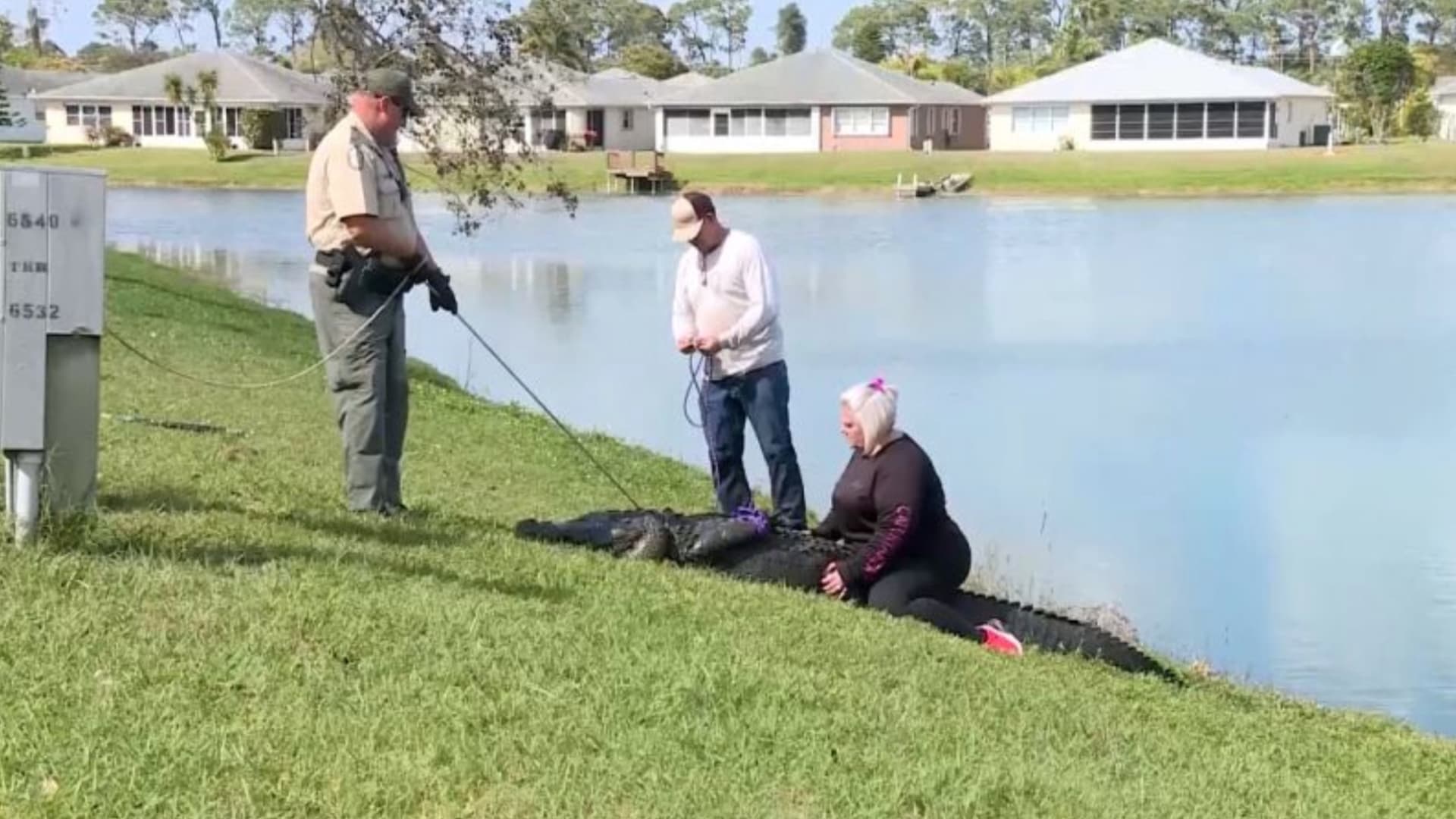 بطول يقرب من 11 قدمًا.. تمساح ضخم يقتل امرأة مسنة وكلبها ينجو من فكيه