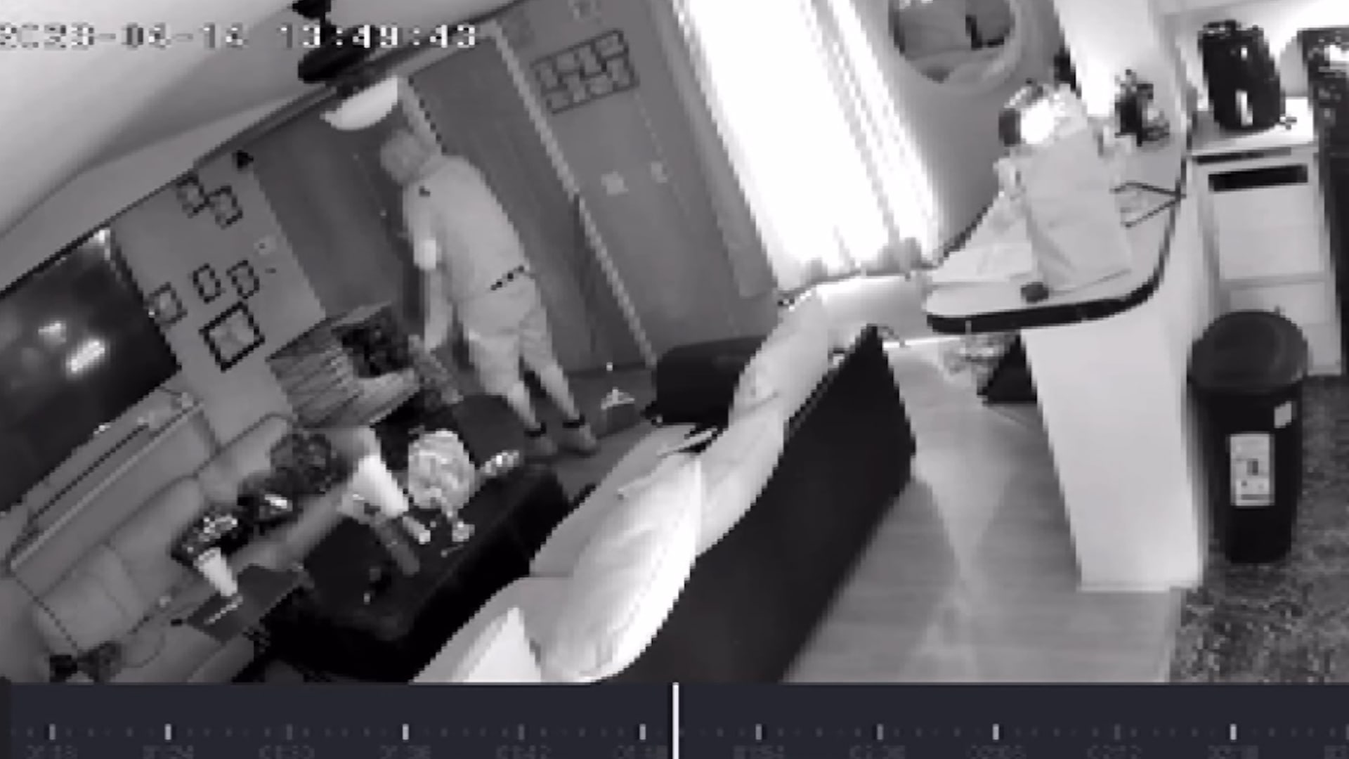صورته كاميرا مراقبة.. شاهد كيف سرق لص كلابا من داخل منزل