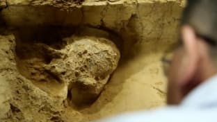العثور على جمجمة تاريخية في الصين.. يكشف الحلقة المفقودة في تطوّر الإنسان