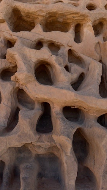تشبه خلايا النحل.. سعودي يفاجئ بتشكيلات صخرية غريبة في تبوك