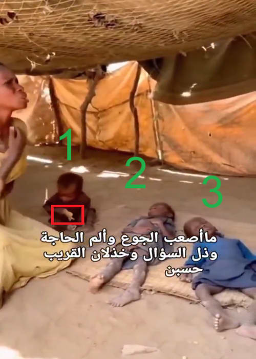  جر امرأة سودانية بسيارة وبكاء أخرى لجوع أطفالها .. ما صحة المقاطع المتداولة؟