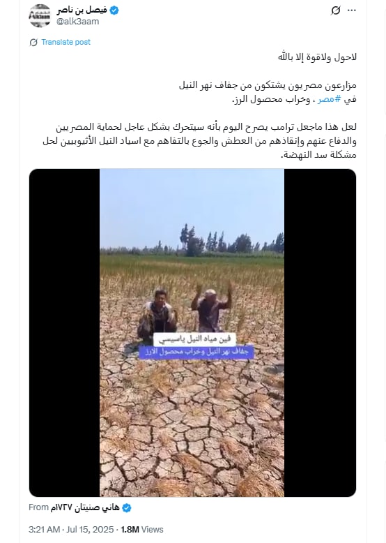 فيديو متداول لـ جفاف أراضي محصول الأرز في مصر.. ما حقيقته؟