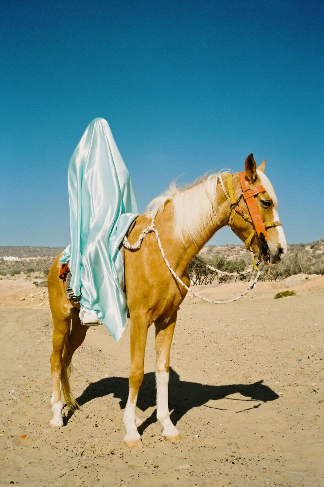 ما هو سبب هوس هذا المصور المغربي البلجيكي بالنقاب؟