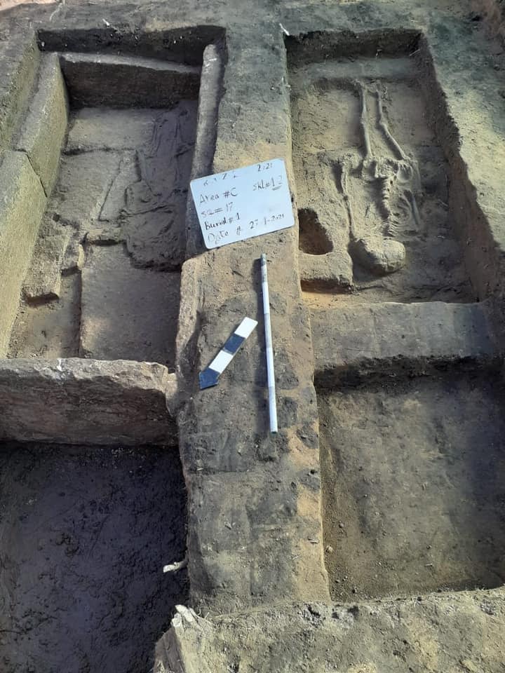 اكتشاف بقايا ورشة ضخمة لصناعة الفخار تعود للعصر اليوناني الروماني في مصر