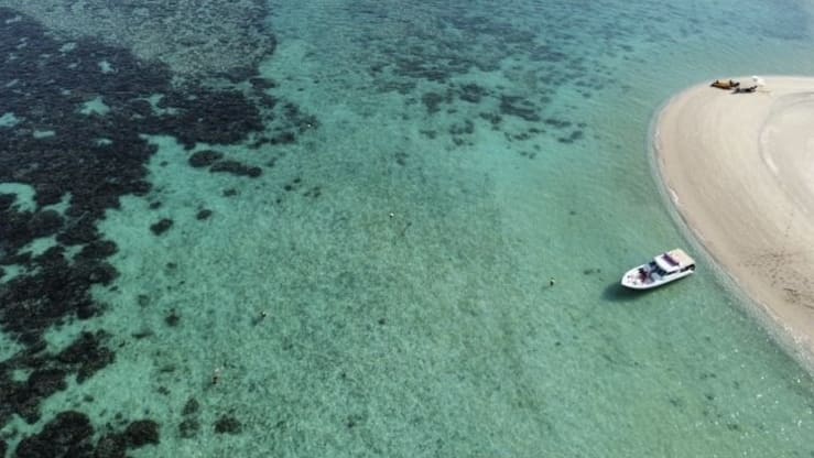 شاهد ما فعلته جزيرة كاريبية صغيرة لإعادة إحياء شعابها المرجانية