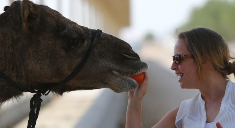 عالم سعودي ثبوت نقل الإبل لفايروس كورونا وننصح بغلي حليبها Cnn Arabic