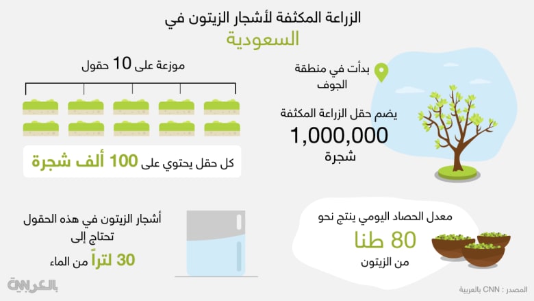 تعر ف بالأرقام إلى زراعة الزيتون المكثف في السعودية Cnn Arabic
