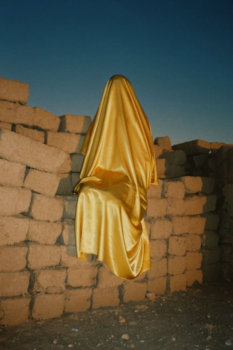 ما هو سبب هوس هذا المصور المغربي البلجيكي بالنقاب؟ ما هو سبب هوس هذا المصور المغربي البلجيكي بالنقاب؟