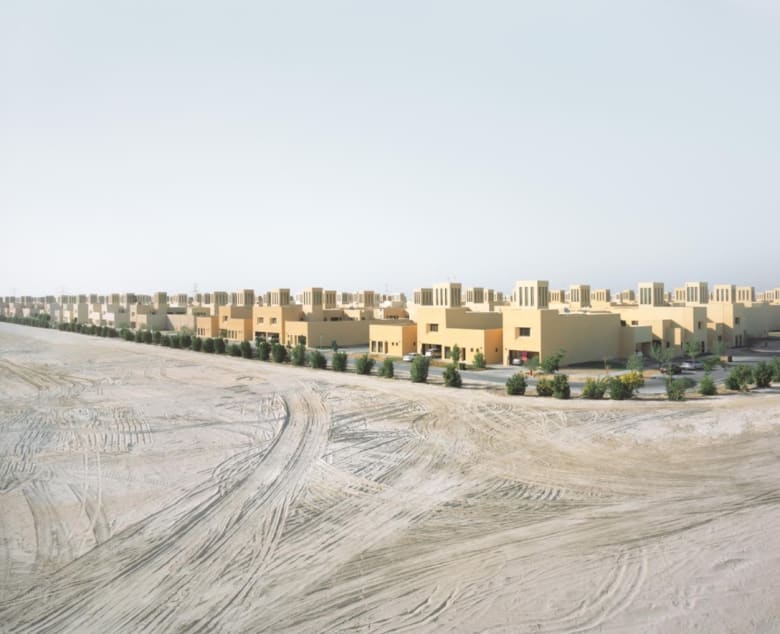 حيوانات هائمة ومساحات منسية.. هل هذا هو مستقبل الإمارات؟ حيوانات هائمة ومساحات منسية.. هل هذا هو مستقبل الإمارات؟
