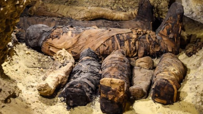 العثور على 40 مومياء في مصر العثور على 40 مومياء في مصر
