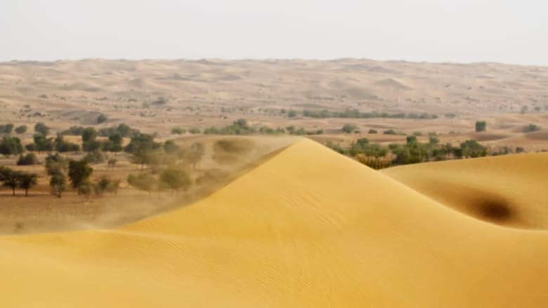 إليك 10 أماكن سياحية يمكنك زيارتها في دبي إليك 10 أماكن سياحية يمكنك زيارتها في دبي