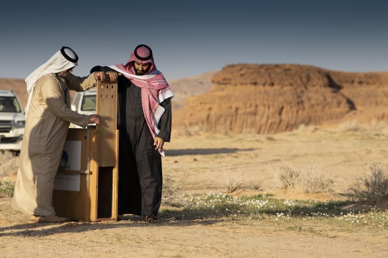 ولي عهد السعودية يطلق محمية شرعان الطبيعية بالعلا ولي عهد السعودية يطلق محمية شرعان الطبيعية بالعلا