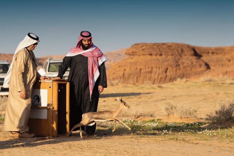 ولي عهد السعودية يطلق محمية شرعان الطبيعية بالعلا ولي عهد السعودية يطلق محمية شرعان الطبيعية بالعلا