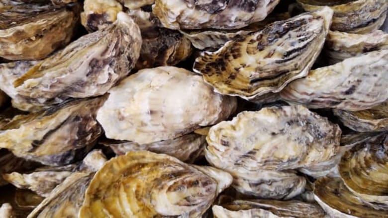 ما هي الثروة الجديدة التي تنبثق من أبحر دولة الإمارات؟ ما هي الثروة الجديدة التي تنبثق من أبحر دولة الإمارات؟